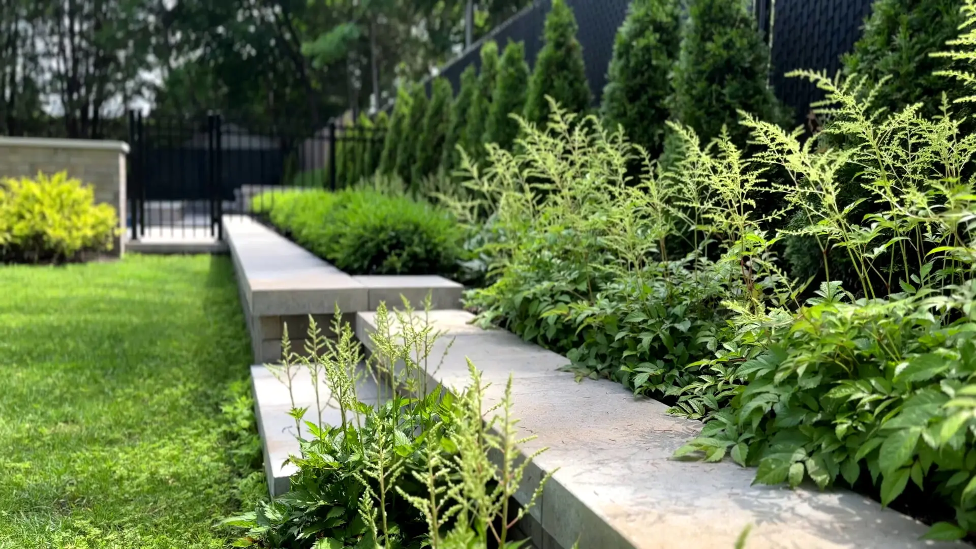 Image 4 de la galerie